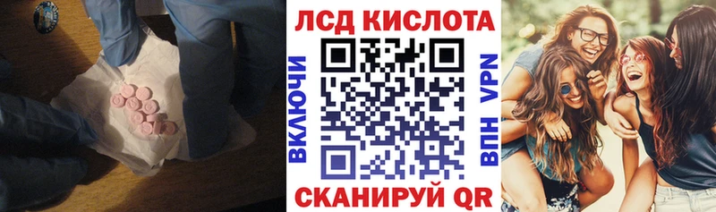 mega ТОР наркошоп Светогорск ЛСД экстази ecstasy