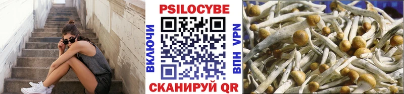 купить   Светогорск  Псилоцибиновые грибы ЛСД 